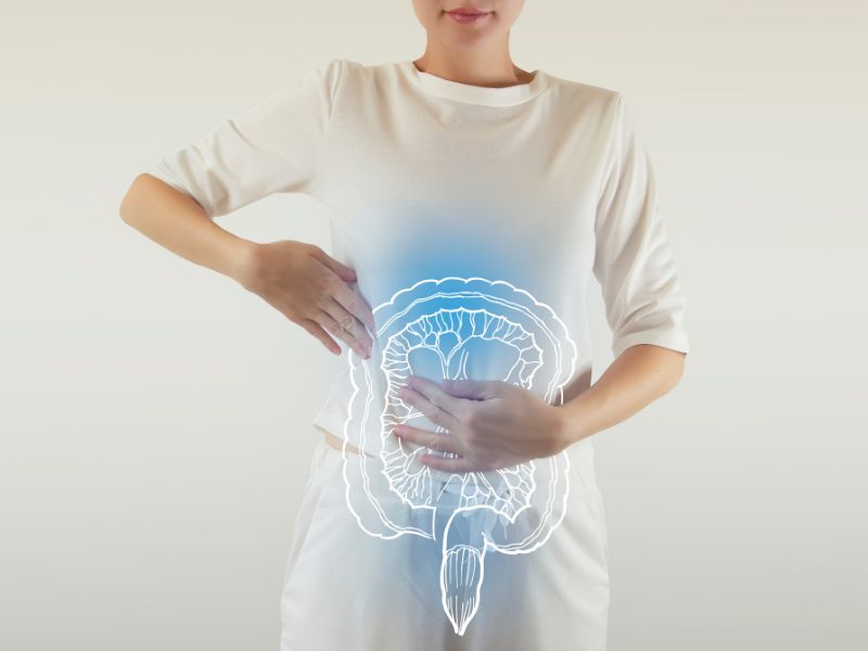 Desvende os Segredos da Modulacao Intestinal para uma Vida Plena